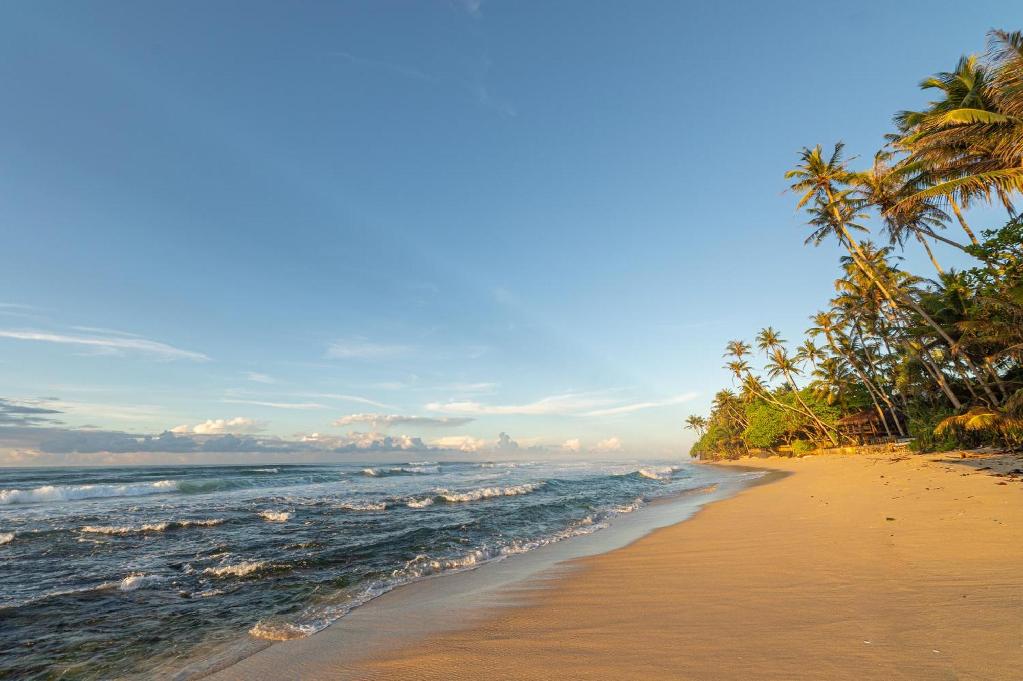 The Beach Talpe Unawatuna Eksteriør bilde